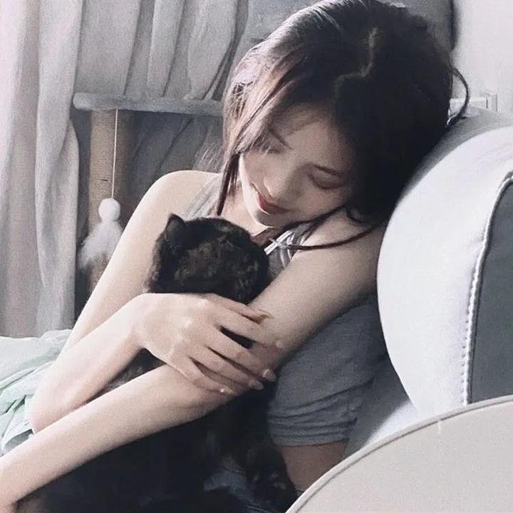 扶桑有狐